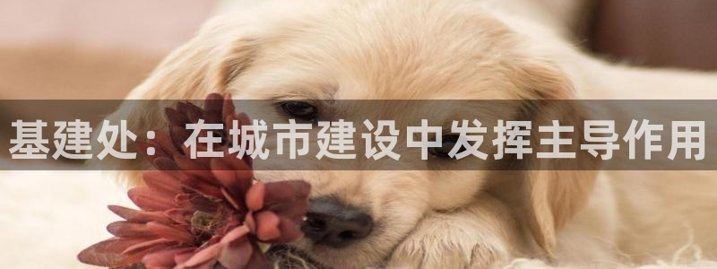 众腾娱乐平台群7O777