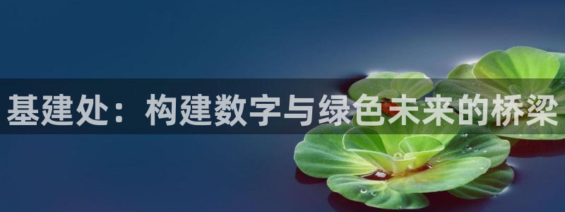 众腾娱乐公司简介